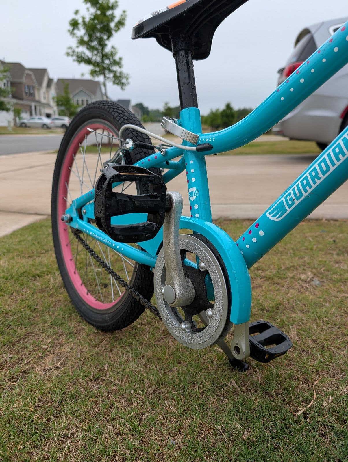 Guardian "Ethos" Kids' Bike - 20-inch Wheels - Teal/Pink